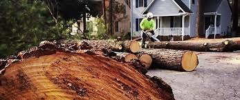 Lawn Irrigation Installation and Maintenance in Fort Bragg, CA